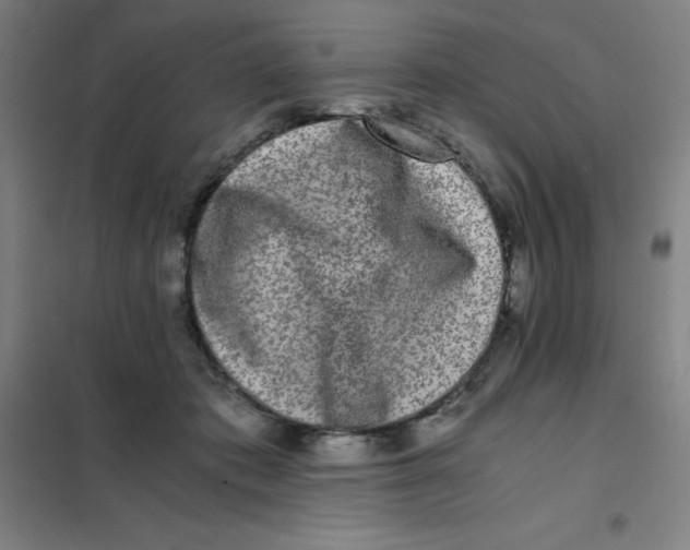 X0000101410413200808041109