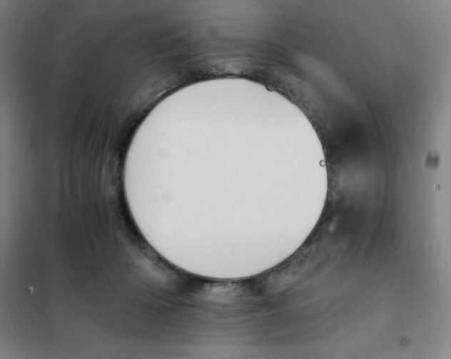 X0000101410414200808041109