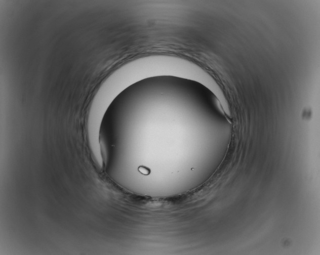 X0000101410415200808041109