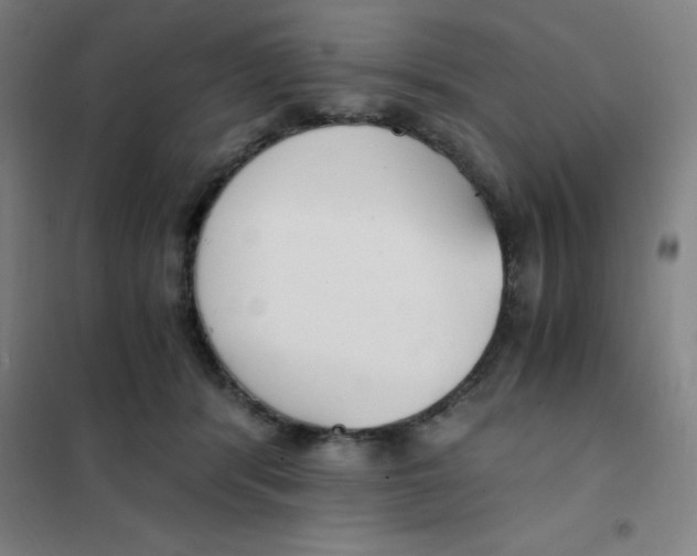 X0000101410416200808041109