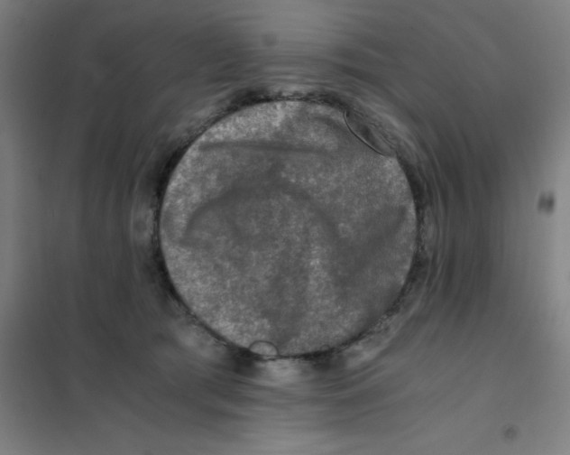 X0000101410417200808041109