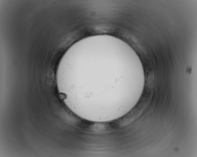 X0000101410418200808041109