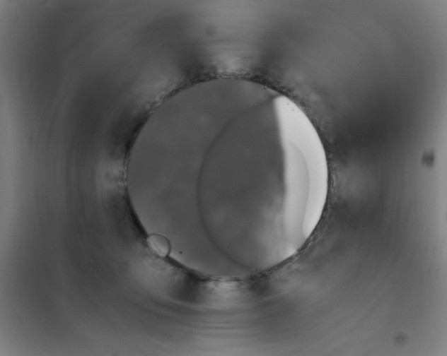 X0000101410419200808041109