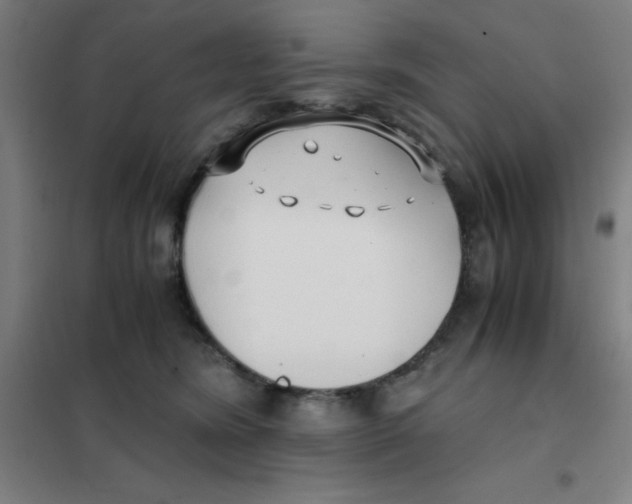 X0000101410420200808041109