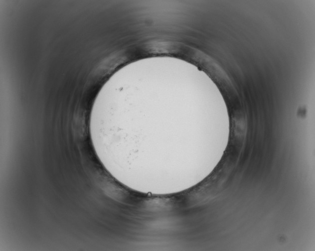 X0000101410422200808041109