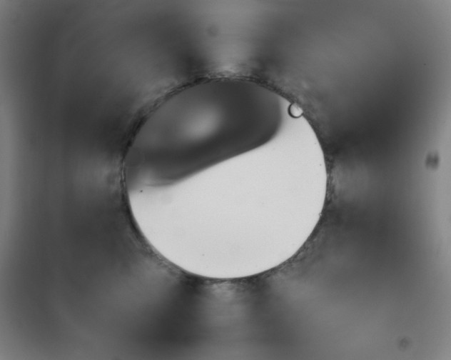 X0000101410423200808041109