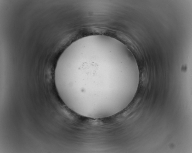 X0000101410424200808041109