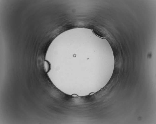 X0000101410425200808041109