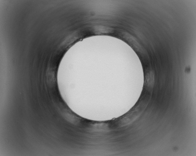 X0000101410426200808041109