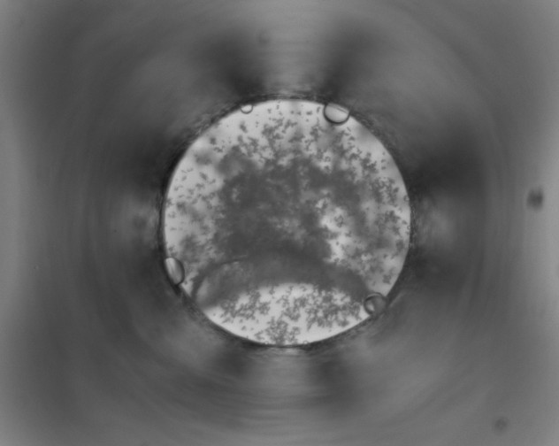 X0000101410427200808041109