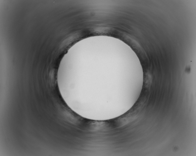 X0000101410428200808041109