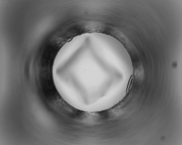 X0000101410429200808041109