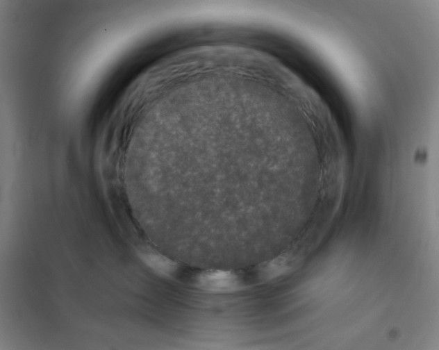 X0000101410431200808041109
