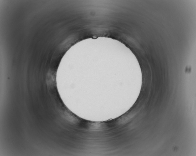 X0000101410432200808041109