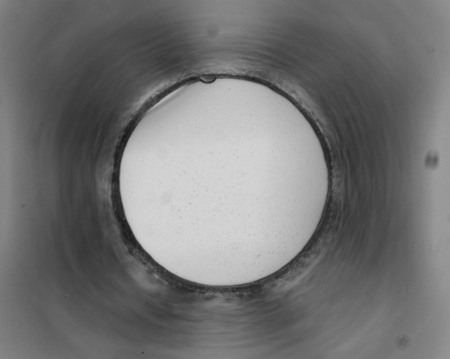 X0000101410434200808041108