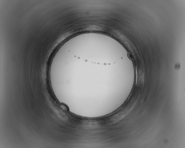 X0000101410435200808041108