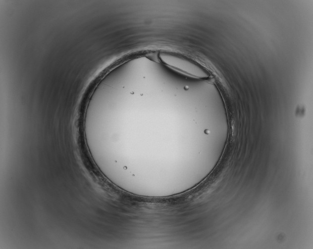 X0000101410436200808041108