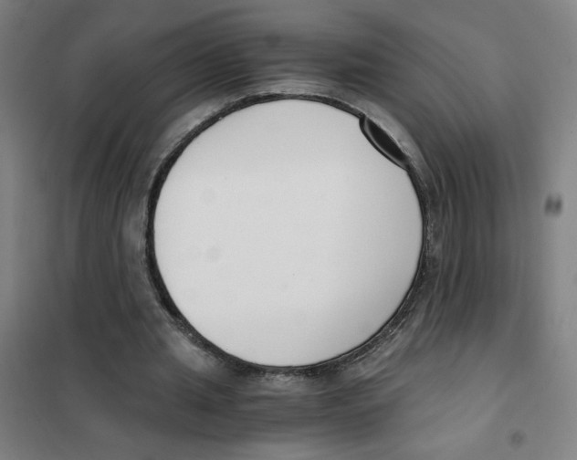 X0000101410437200808041108