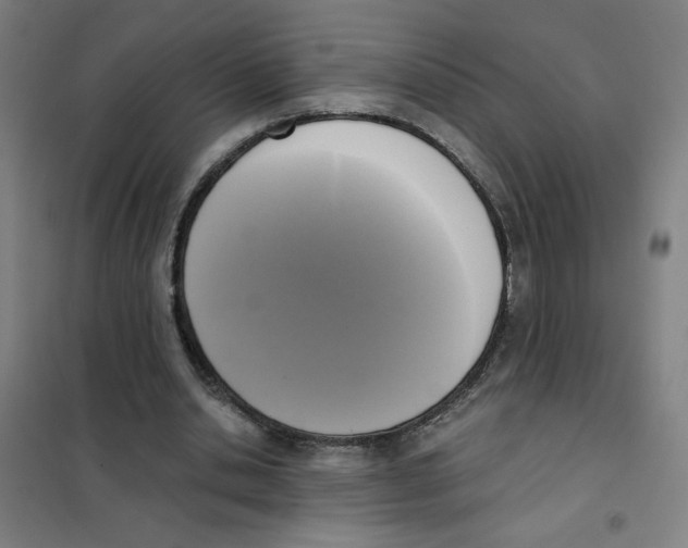 X0000101410438200808041108