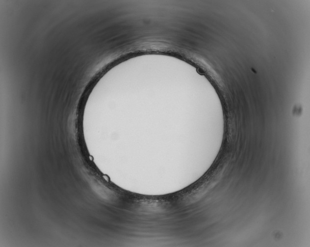 X0000101410439200808041108