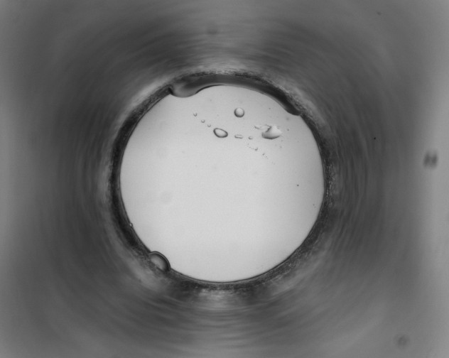 X0000101410440200808041108