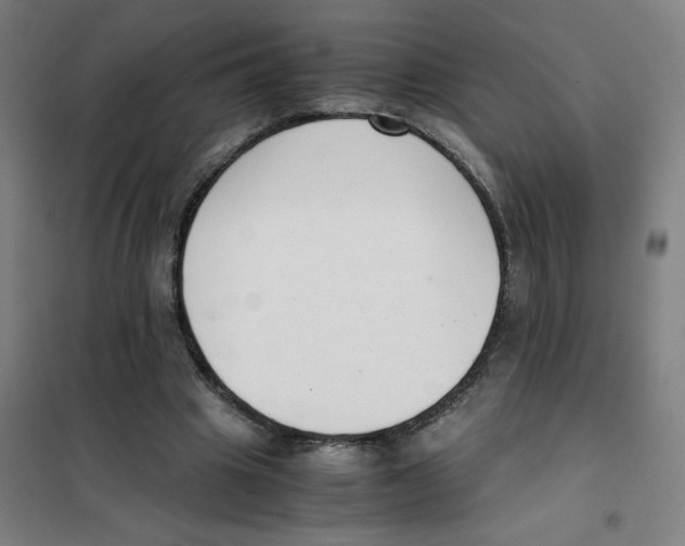 X0000101410441200808041108