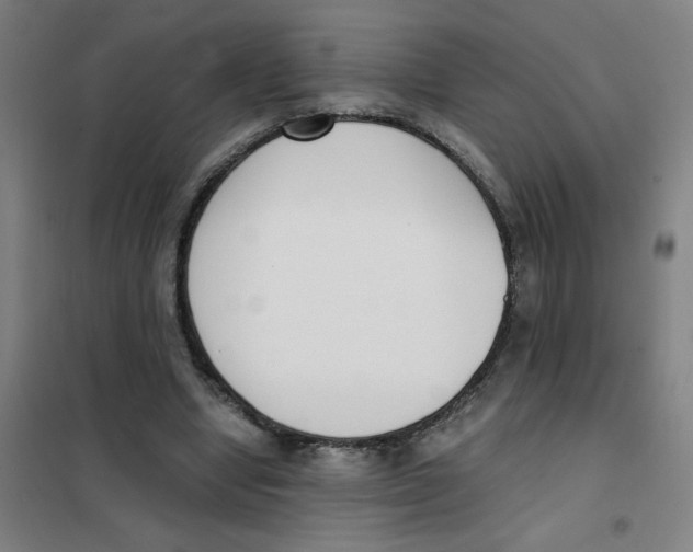 X0000101410442200808041108