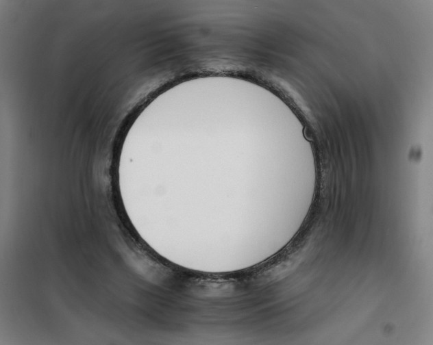 X0000101410443200808041108