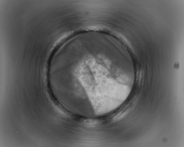 X0000101410444200808041108
