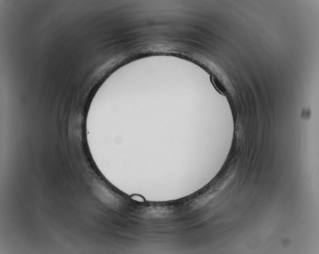 X0000101410445200808041108