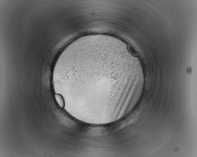 X0000101410446200808041108