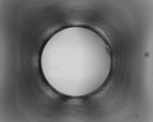 X0000101410447200808041108