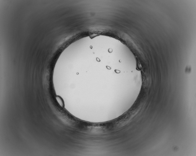 X0000101410448200808041108