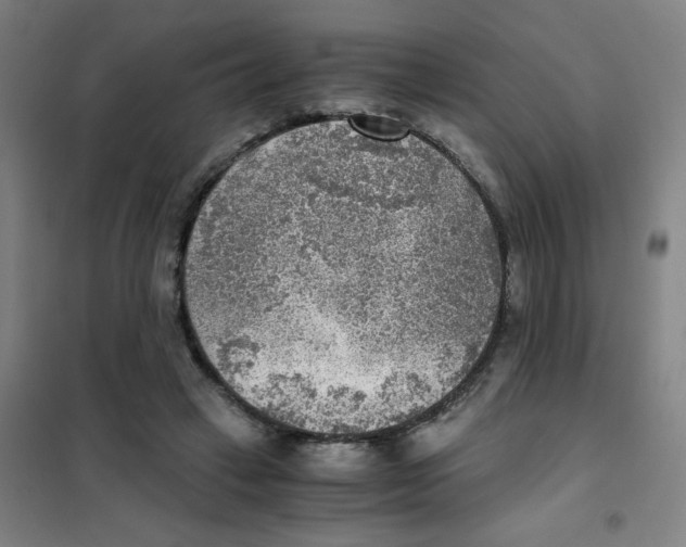 X0000101410449200808041108