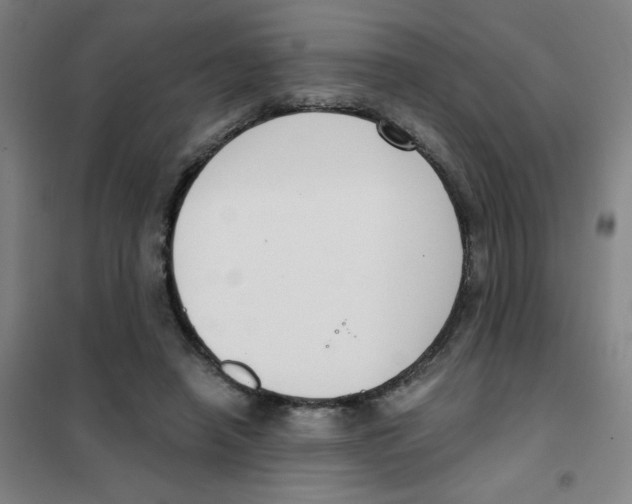 X0000101410450200808041108