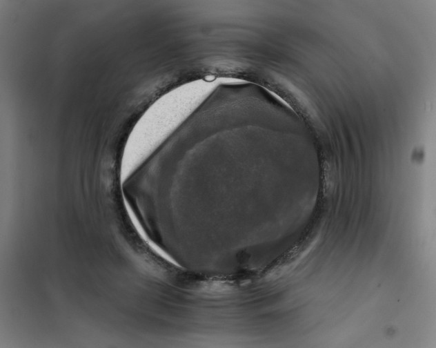 X0000101410451200808041108