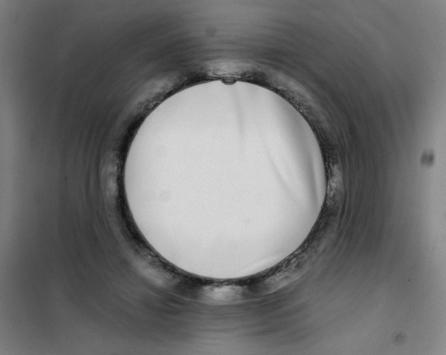 X0000101410452200808041108