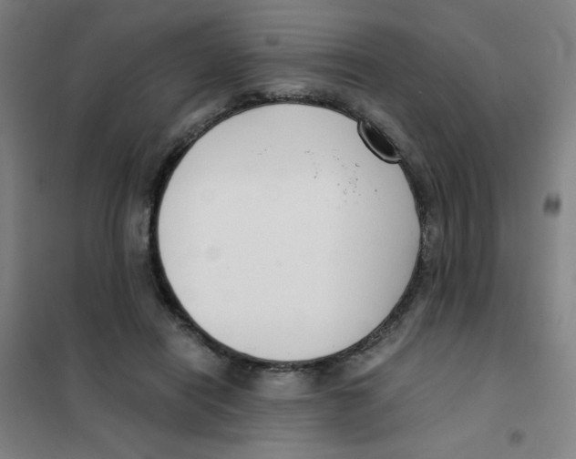 X0000101410454200808041108
