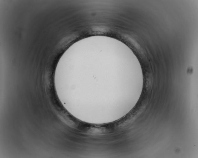 X0000101410455200808041108