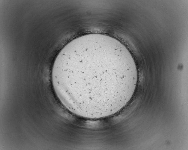 X0000101410457200808041108