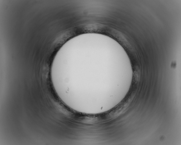 X0000101410458200808041108