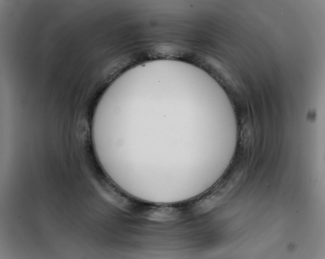 X0000101410459200808041108