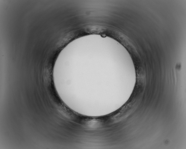 X0000101410460200808041108