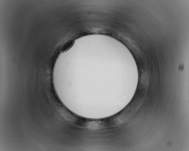 X0000101410461200808041108