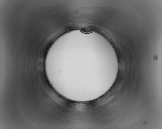 X0000101410462200808041108