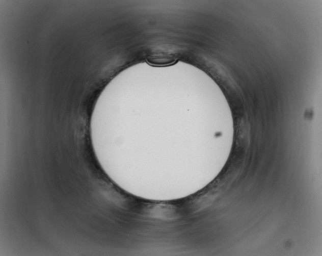 X0000101410463200808041108
