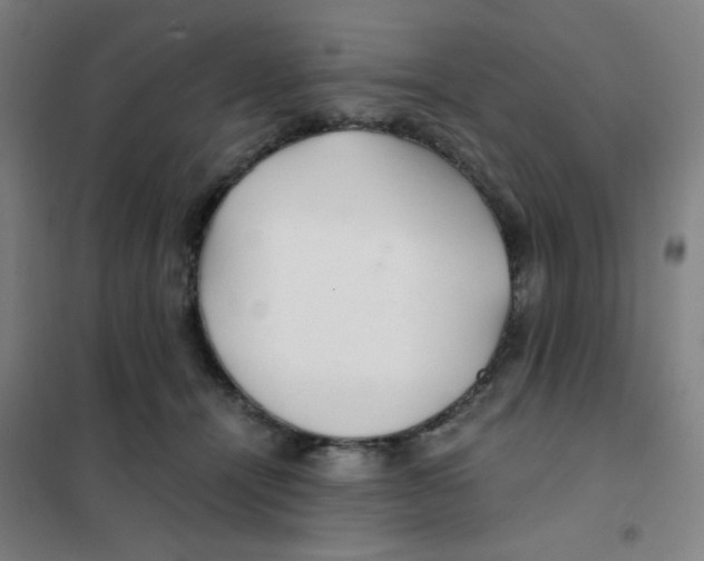 X0000101410464200808041108