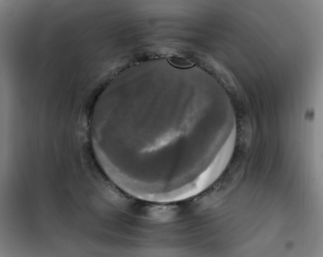X0000101410465200808041108