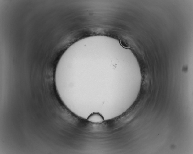 X0000101410466200808041108
