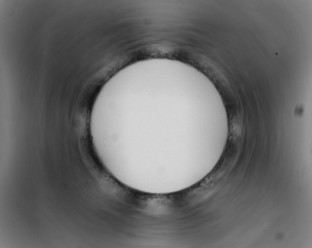 X0000101410468200808041108